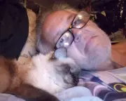 Pet I'll Never Forget: The Stray Cat Who Stayed By My Side Through Chemo