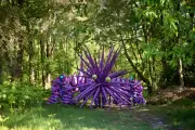 Piglet Goes Purple: Psychedelic Shapeshifter in Pooh's Wood