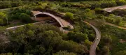 San Antonio's New Land Bridge Connects Wildlife Over Busy Highway