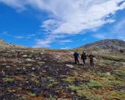 Scientists Alarmed as Wildfires Ravage Greenland for First Time