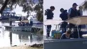 Search for girl missing after man found dead in Sydney water