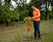 St Lucia Running Out of Water Amid Scarcity Crisis