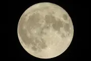 Strawberry Moon 2026: Best Time and Spots to See It in Perth