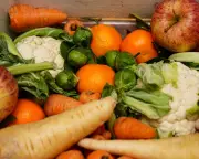 Supermarket Worker Reveals Shocking Food Waste: Rotisserie Chickens in Trash
