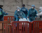 The MV Hondius and Hantavirus: A Wake-Up Call for Global Health