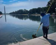 Trump Drains White House Reflecting Pool, Sparking Controversy