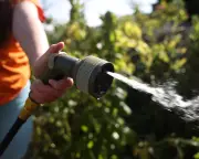 UK launches £75m campaign to cut water use by 28 litres per day