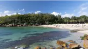 US National Dies in Spearfishing Accident at Sydney's Shelly Beach