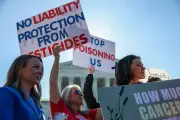 US Supreme Court Rejects Monsanto Appeal Over Cancer-Linked Pesticide
