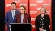 Victoria's Labor govt faces High Court battle over 'rigged' donation laws