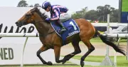 Warwick Farm Racing Tips: Aye Aye Captain Ready to Return in Final Race