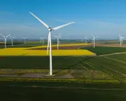 Weakening Net Zero Policy Could Damage Economy: Climate Committee