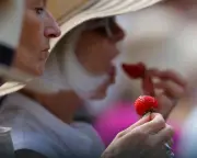 Wimbledon's Obsession with Perfect Strawberries Ignores Real-World Issues