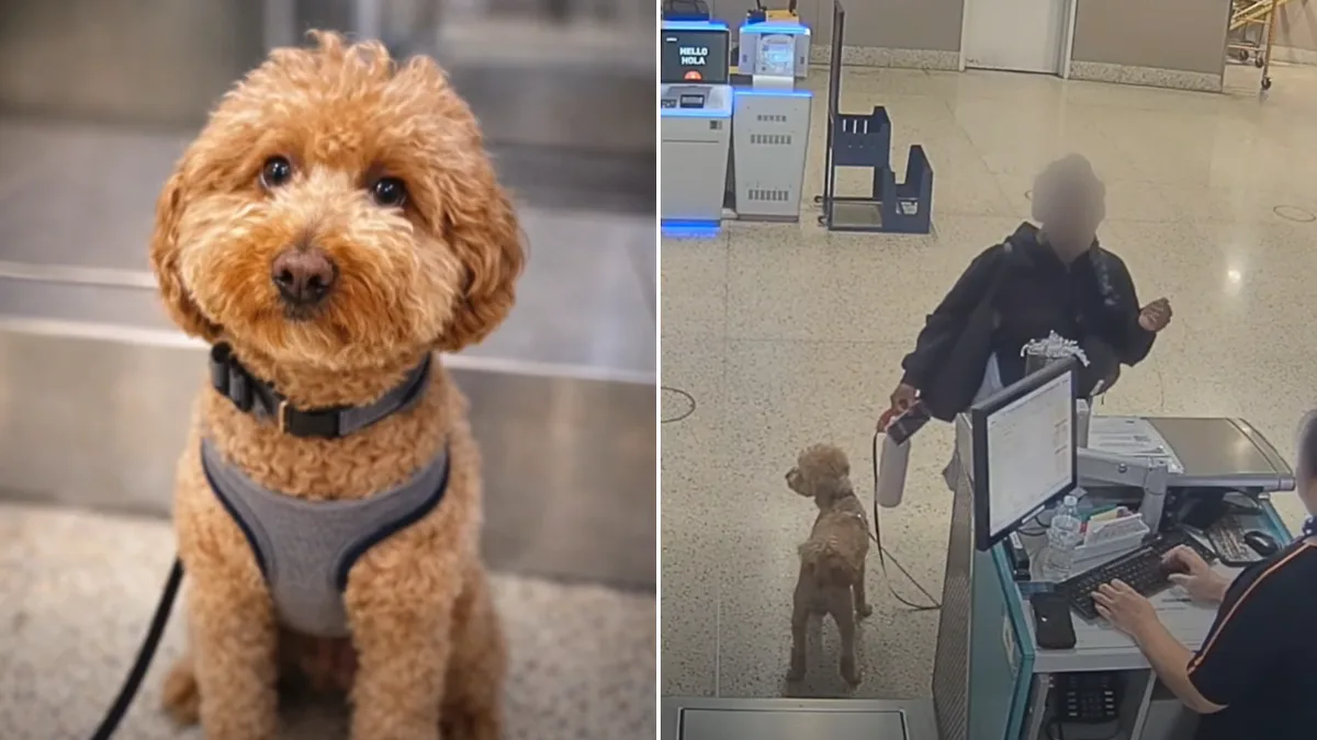 Abandoned Airport Dog Adopted by Las Vegas Police Officer