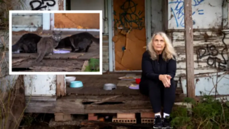 Abandoned Welshpool property overrun with stray cats, neighbours seek help