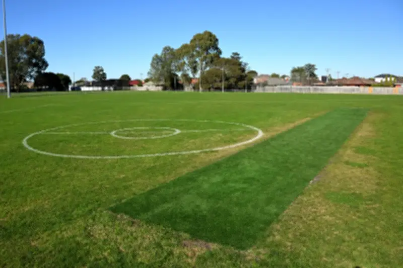 AFL Faces Grave Dangers Beyond the Field, Community Warns