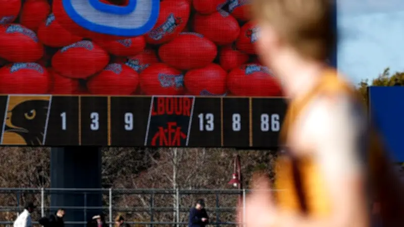 AFL Shocker: Melbourne Mauls Injury-Hit Hawthorn in Tasmania
