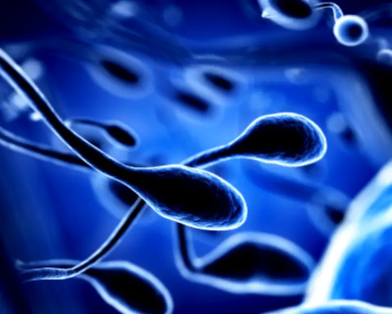 Air Pollution Linked to DNA Changes in Sperm