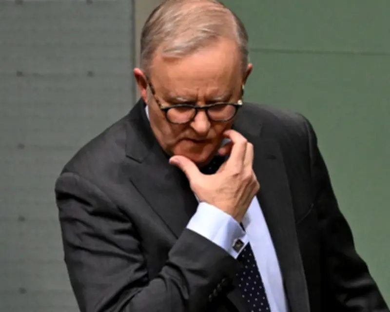 Albanese's 'shag, marry, date' gaffe exposes risks of social media politics