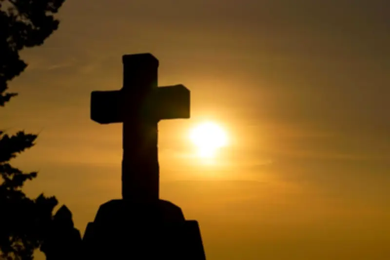 Anger Over Tree Removals for Proposed Church in Greenfields