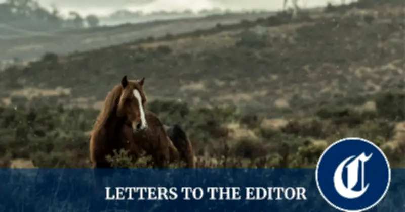 Angus Taylor's Brumbies stance criticised as ecosystem risk