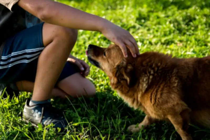 Aussies Giving Pets Human Names Like Kevin and Alice in New Trend