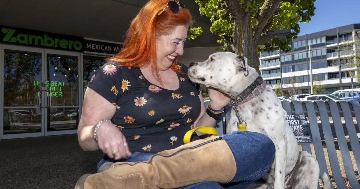 Luna Tops Cat Names, Daisy Leads Dogs in ACT's 2025 Pet Name Rankings
