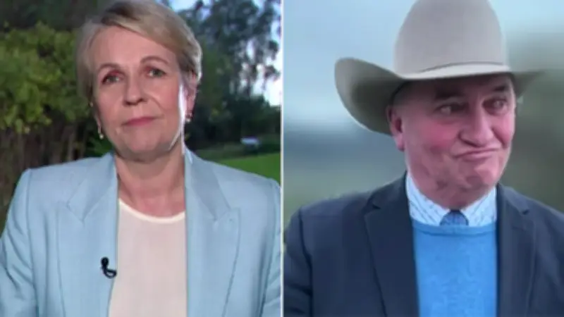 Barnaby Joyce Clashes with Plibersek Over Albanese's 'Barely Coherent' Remark