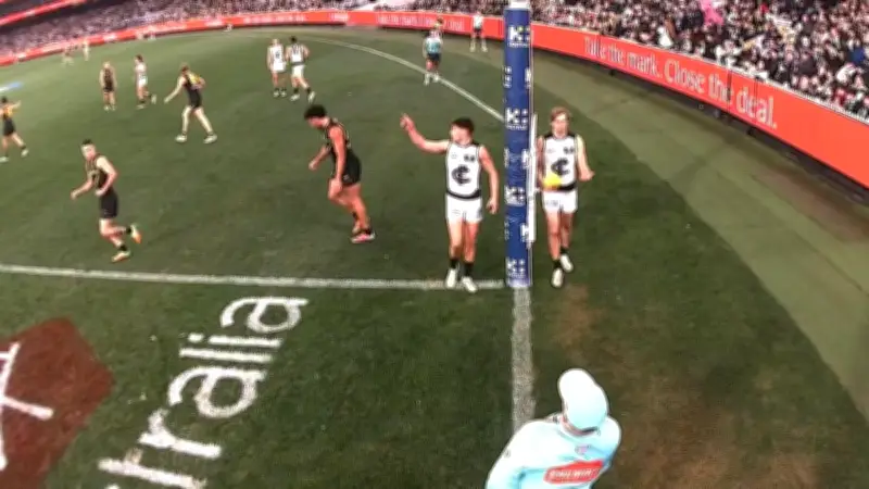 Carlton's Haynes accepts blame for deliberate rushed behind call
