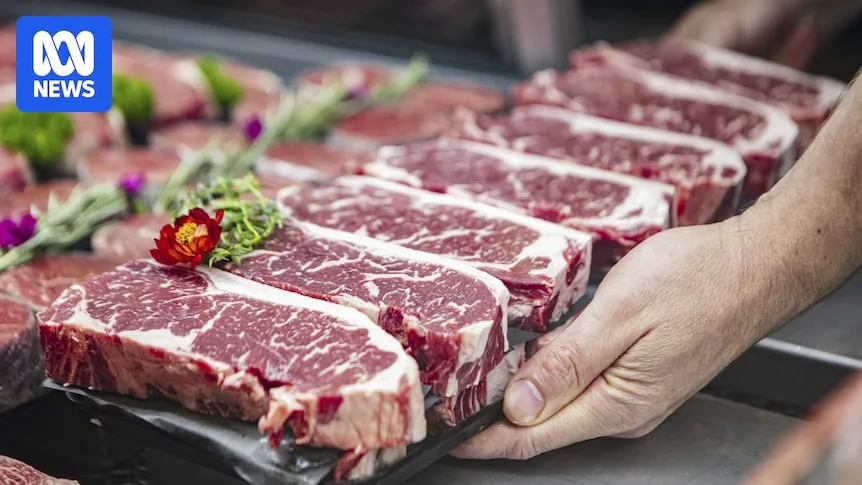 China Warns Australia 55% Beef Tariffs Could Apply Within Days