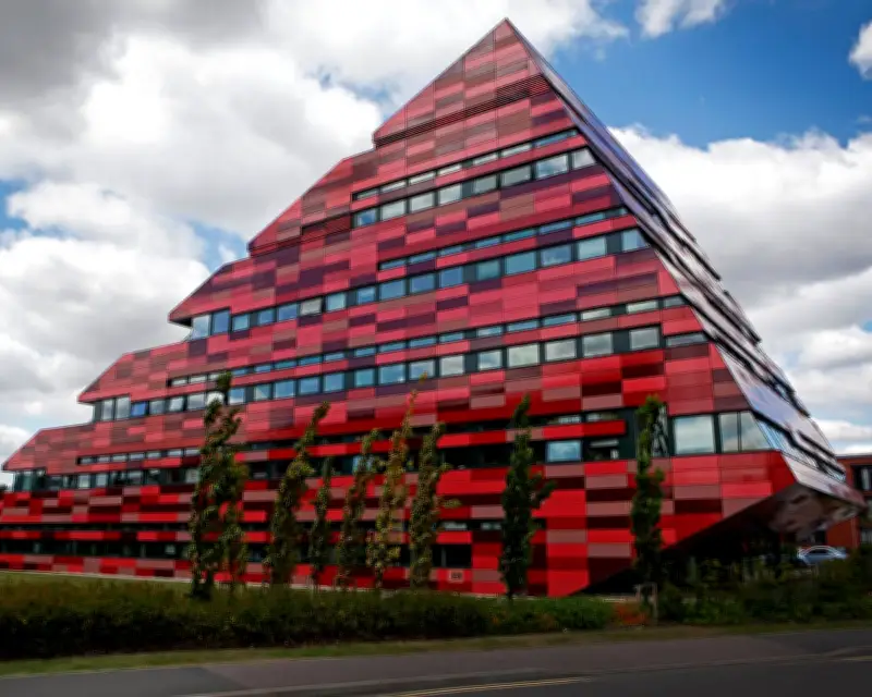 Cutting University Language Courses Risks Social Mobility, Experts Warn