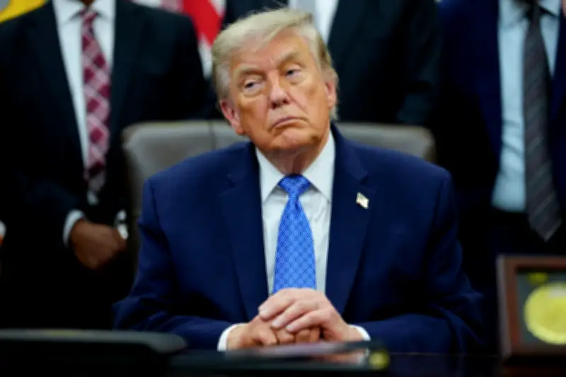 Democrats Plan ‘Field Day’ Probing Trump Scandals if They Win House Majority