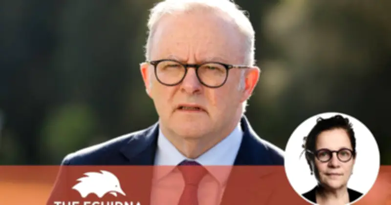 Echidna Hack Exposes Big Four Bank Vulnerability: Albanese