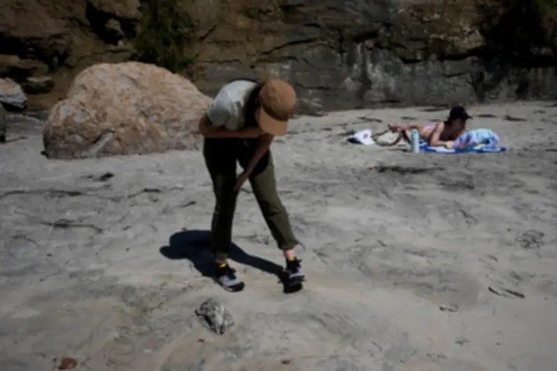 El Niño May Have Caused Mass Bird Deaths in California