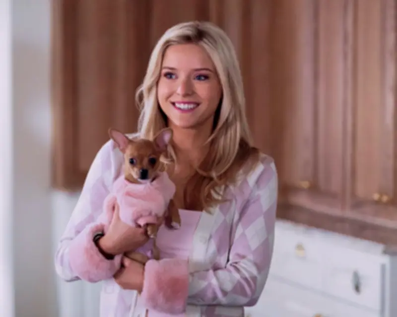 Elle Review: Legally Blonde Prequel Delivers Fun, Fluff