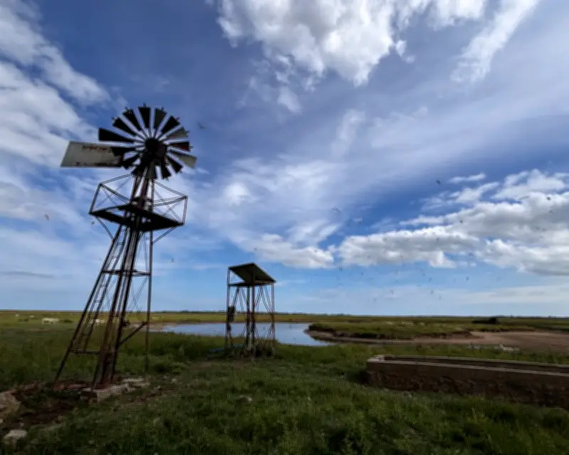 Escaping the Tide on Horsey Island: A Vanishing Refuge