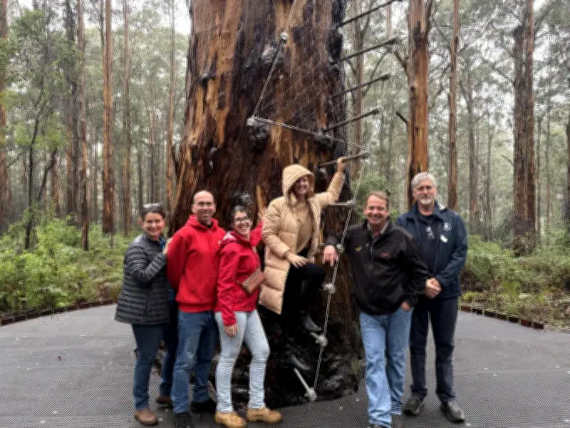 Gloucester Tree reopens in Pemberton after $3M upgrade for WA school holidays