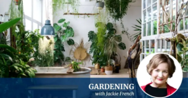 Jackie French on Winter Gardening: Warmth, Colour, Cheap Fixes