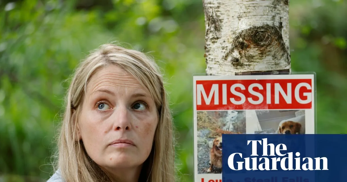 Mother's Plea to Find Missing Therapy Dog in Scottish Highlands