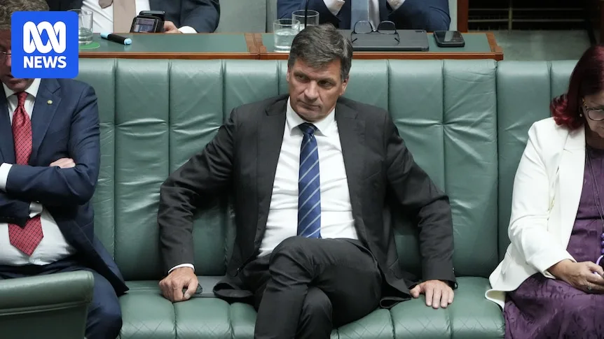 Angus Taylor Under Pressure to Challenge Sussan Ley for Liberal Leadership