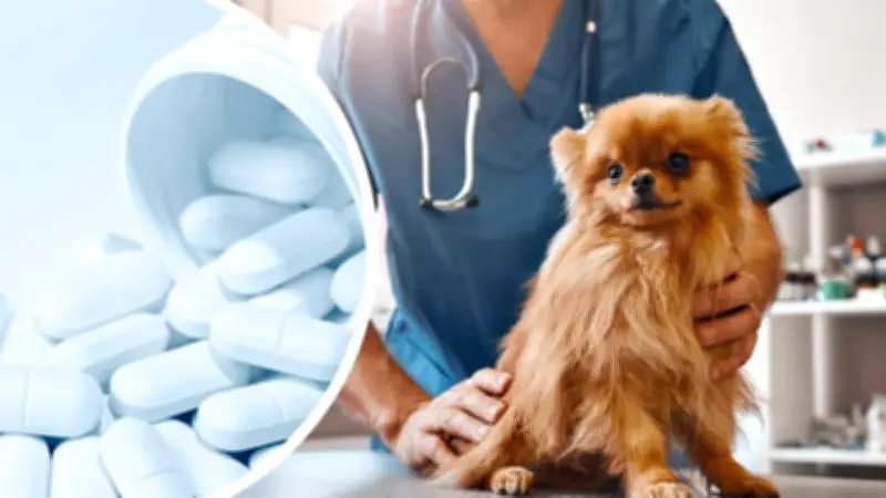 Man Who Stole $950 in Vet Drugs Ordered to Pay Reparations