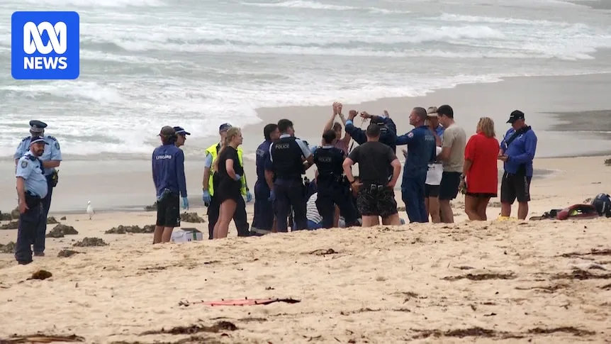 Third Shark Attack in Sydney in 24 Hours Leaves Surfer Critical