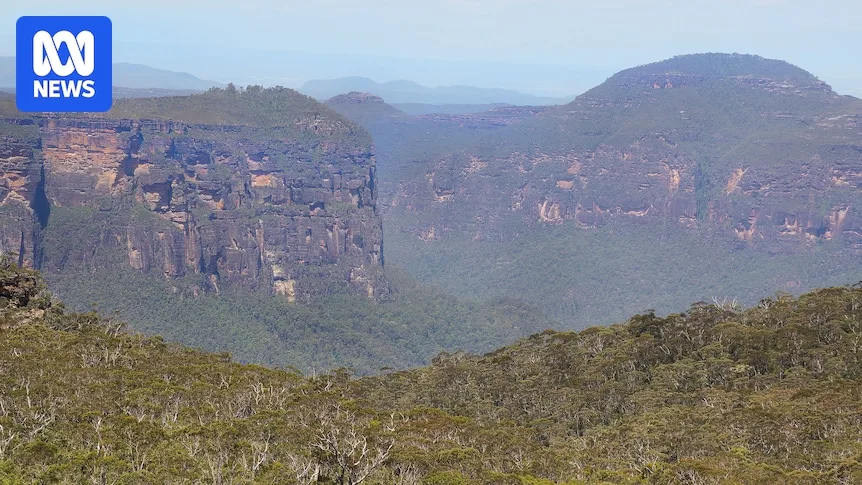 Body of Missing Teen Found in Blue Mountains Creek