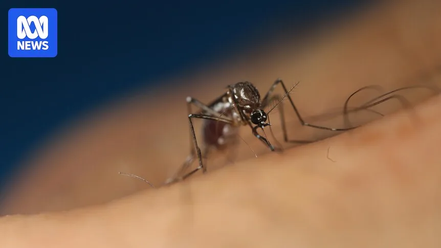 Mosquito Disease Spike Prompts Geelong Pensioner Warning