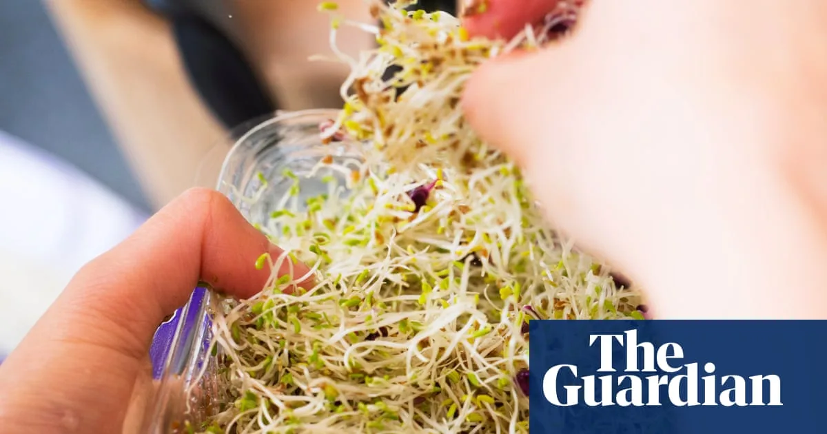 Nationwide Recall of Alfalfa Sprouts Over Salmonella Outbreak