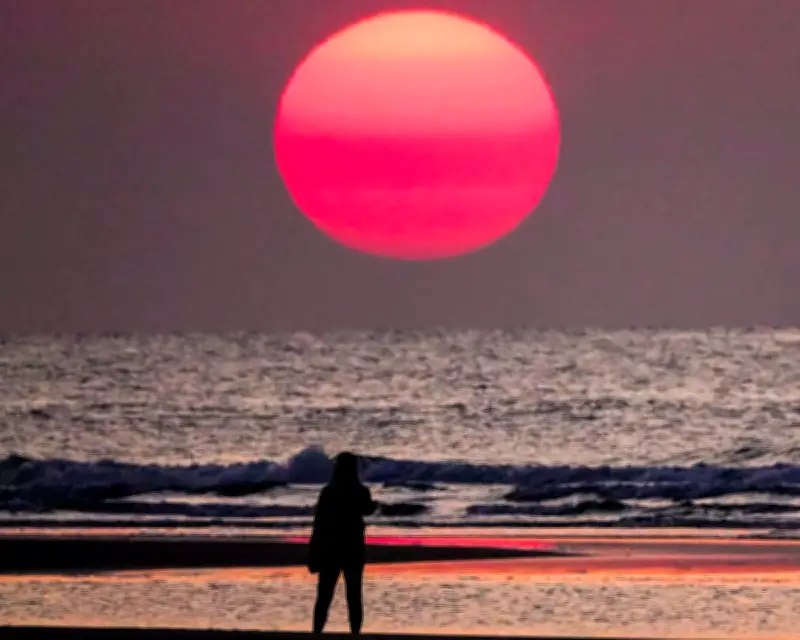 Ocean Surface Temperatures Hit Record High for June, Scientists Warn