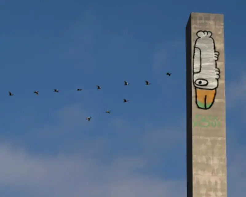 Pam the Bird Graffiti: Art or Vandalism on Melbourne Landmarks?