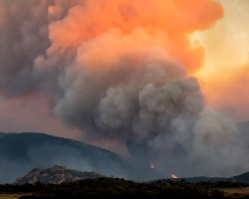Record Wildfires in Europe Signal Failure to Adapt to Climate Crisis