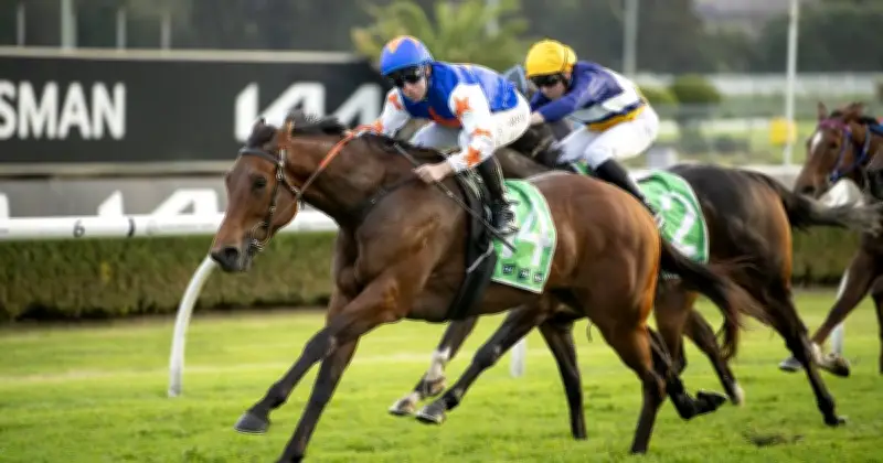 Rosehill Races Saturday: Expert Tips and Previews for July 2, 2026