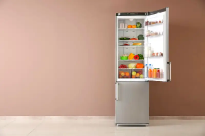 Samsung Fridge Sale: Top Picks for Every Home and Budget
